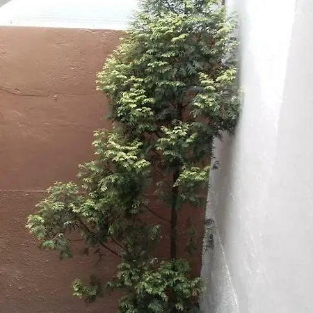Av. Lugo, 79b Apartamento Avilés